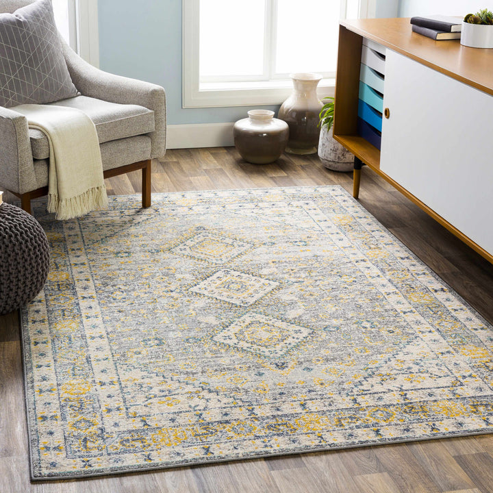 Varnville Traditional Style Gray And Beige Area Rug
