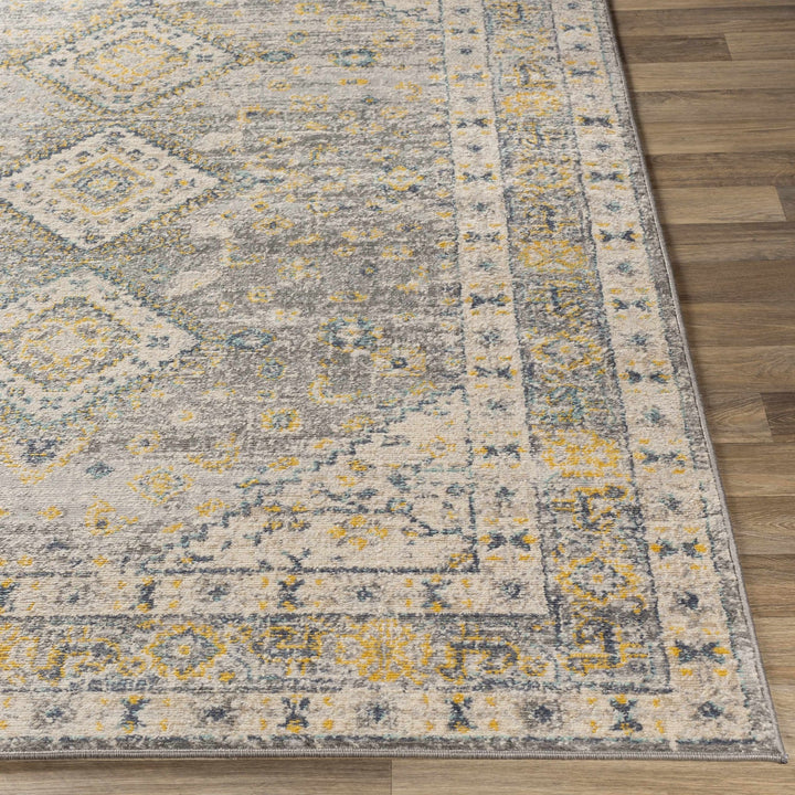 Varnville Traditional Style Gray And Beige Area Rug - The Rug Decor