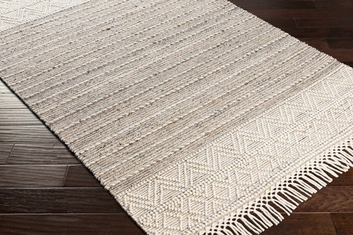 Veruela Modern Style Beige Wool Blend Hand Woven Area Rug
