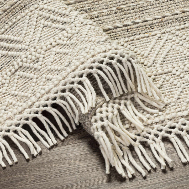 Veruela Modern Style Beige Wool Blend Hand Woven Area Rug