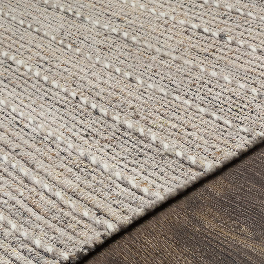 Veruela Modern Style Beige Wool Blend Hand Woven Area Rug