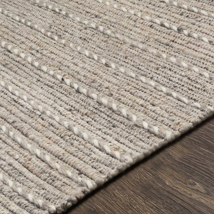 Veruela Modern Style Beige Wool Blend Hand Woven Area Rug