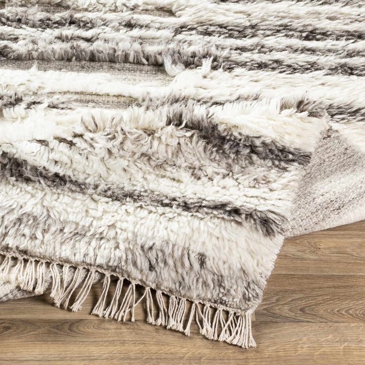 Vida Modern Style Gray And Ivory Hand Woven Area Rug - The Rug Decor