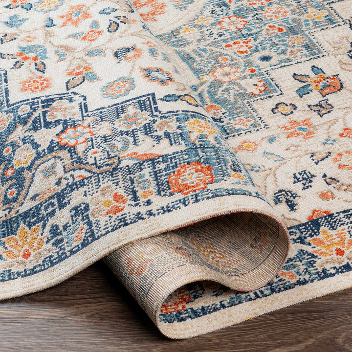 Vintage Style Ivory, Blue and Peach Traditional Floral Medallion Outdoor Safe Area Rug - The Rug Decor