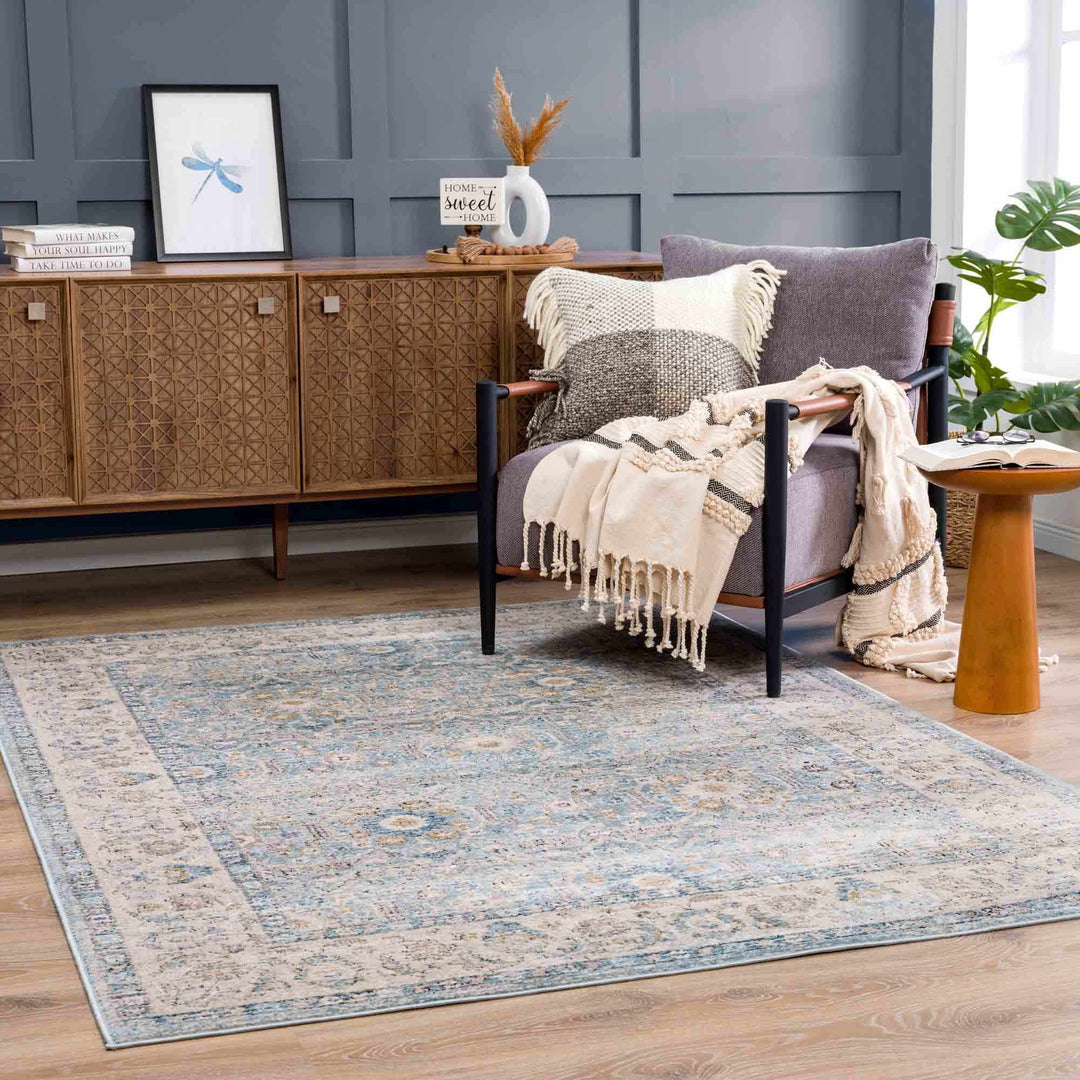Vintage Style Peach, Blue and Charcoal Traditional Turkish Design Area Rug - The Rug Decor