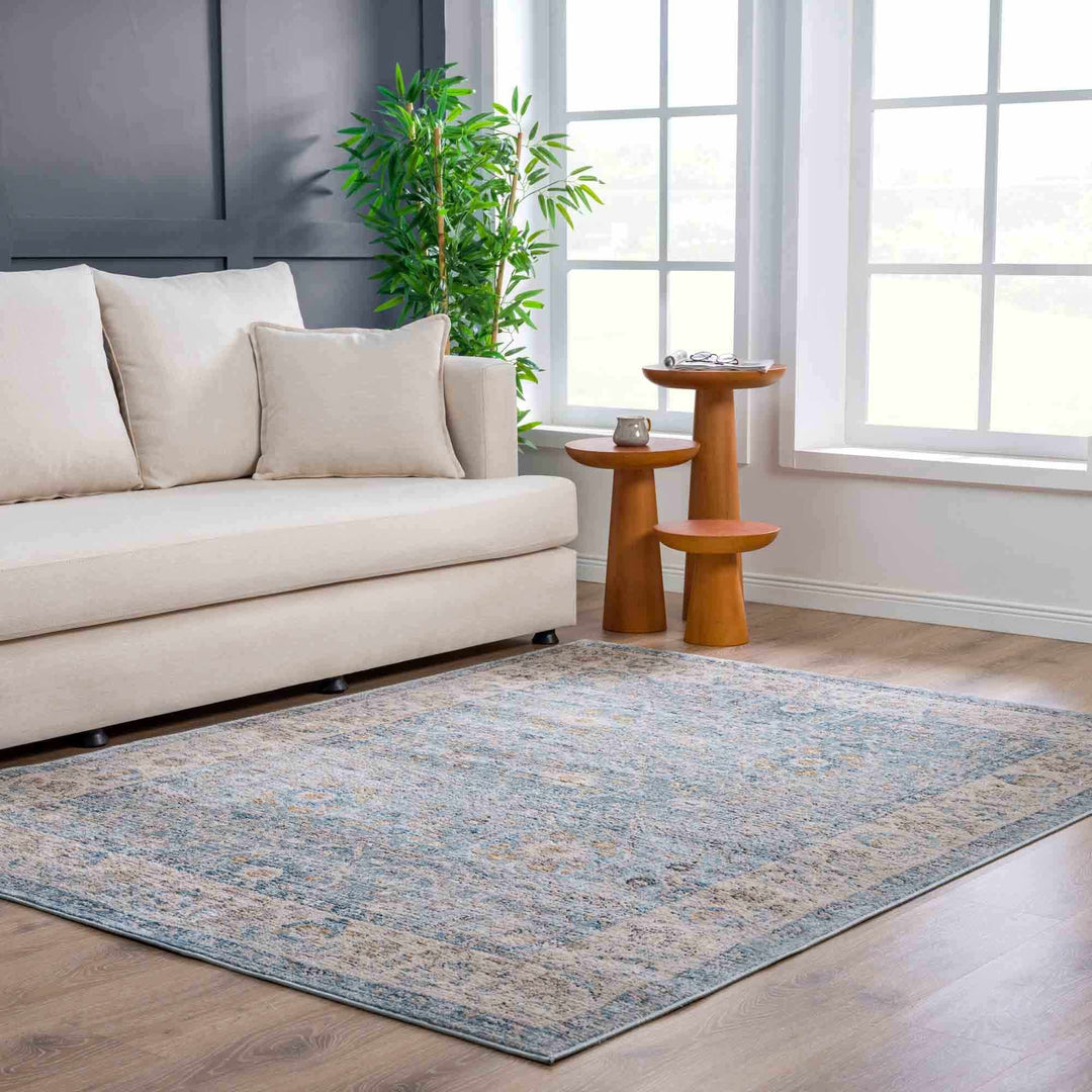 Vintage Style Peach, Blue and Charcoal Traditional Turkish Design Area Rug - The Rug Decor
