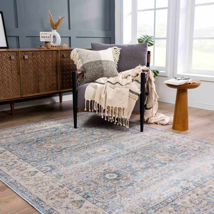 Vintage Style Peach, Blue and Charcoal Traditional Turkish Design Area Rug - The Rug Decor