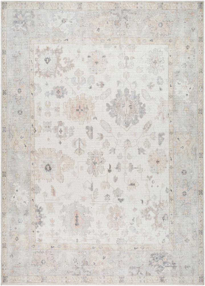 Valko Traditional Style Beige And Gray Area Rug