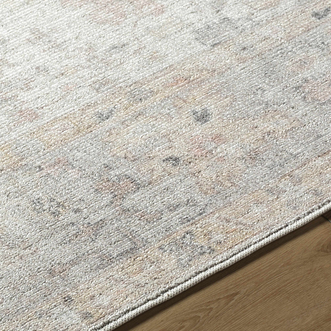 Valko Traditional Style Beige And Gray Area Rug