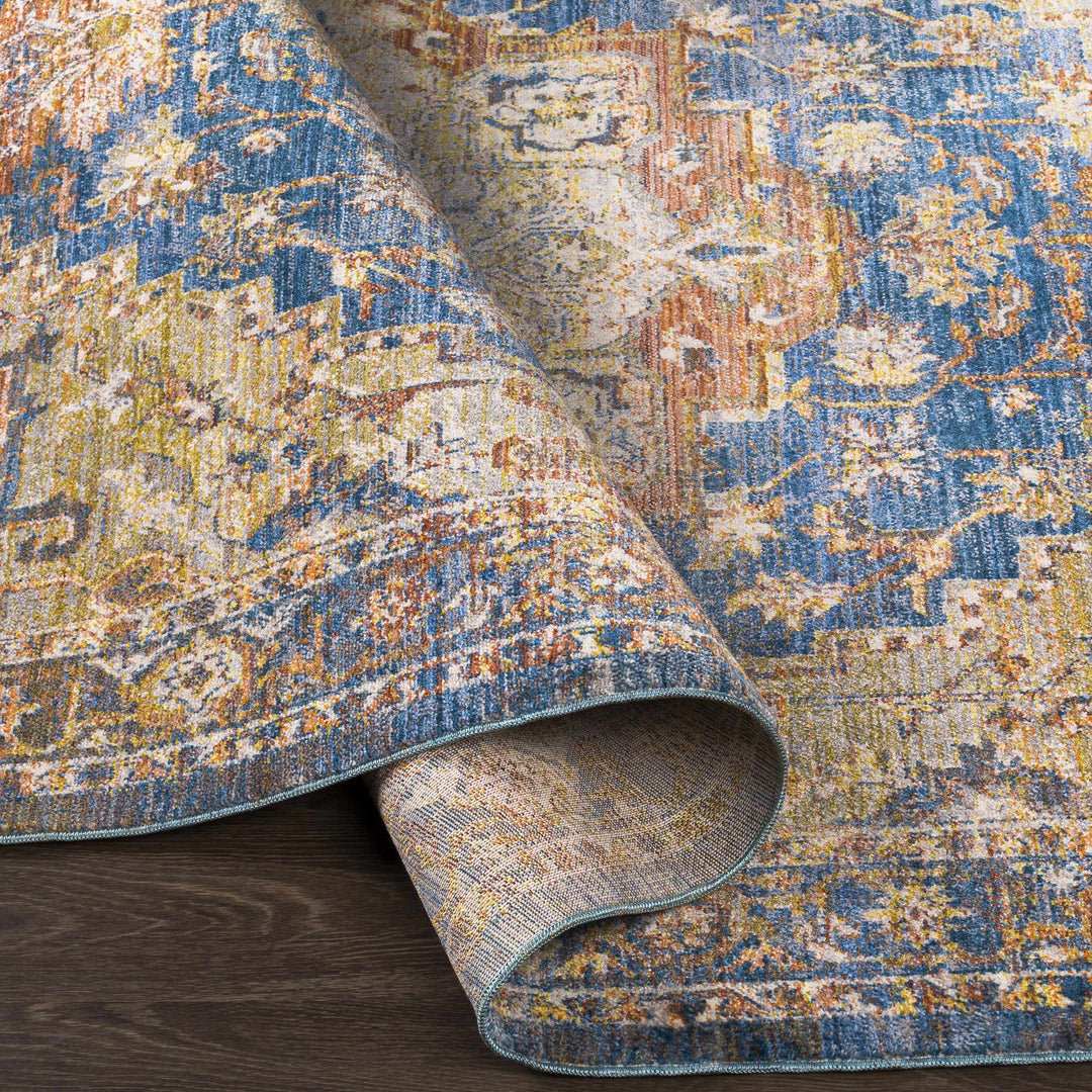 Wailua Blue And Brown Traditional Style Area Rug