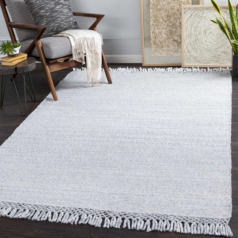 Walcha Gray Modern Style Hand Woven Area Rug - The Rug Decor
