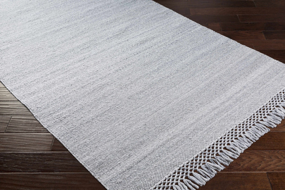 Walcha Gray Modern Style Hand Woven Area Rug - The Rug Decor