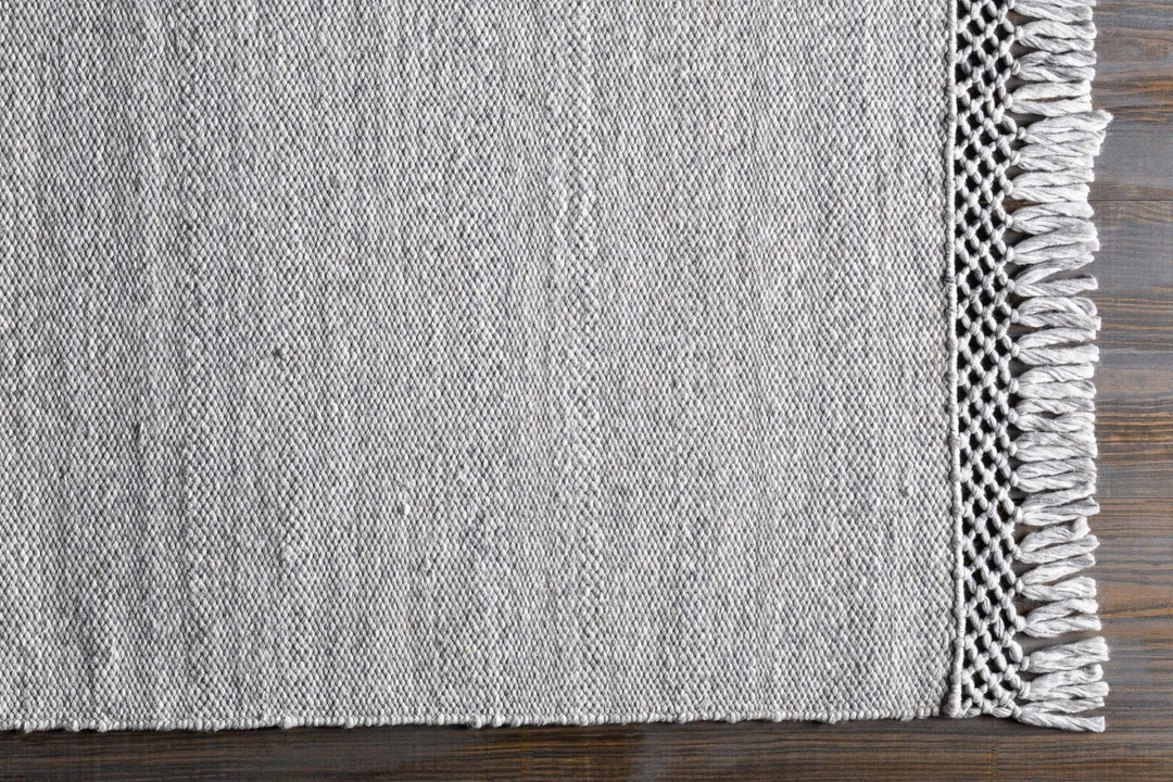 Walcha Gray Modern Style Hand Woven Area Rug - The Rug Decor