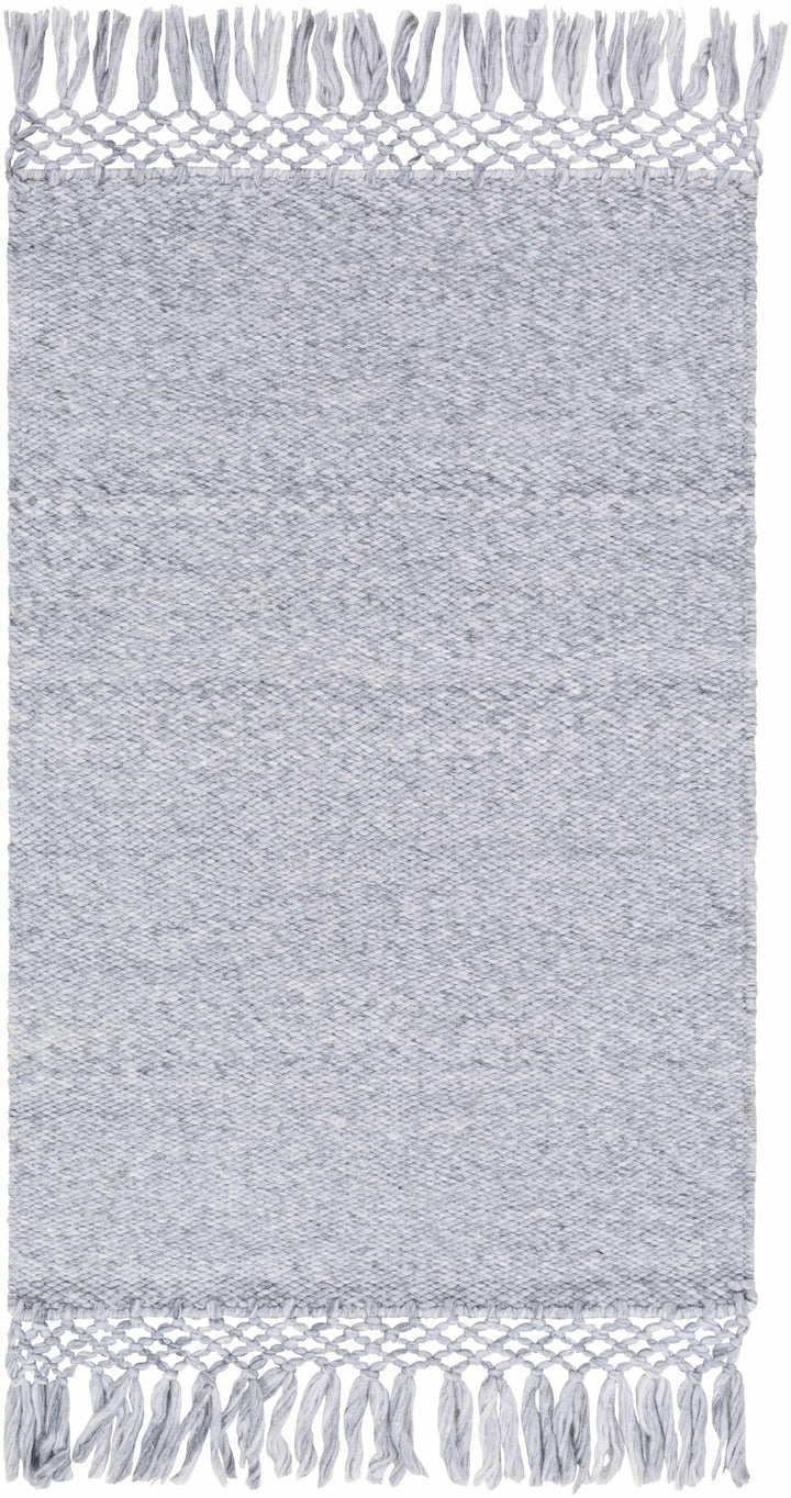 Walcha Gray Modern Style Hand Woven Area Rug - The Rug Decor