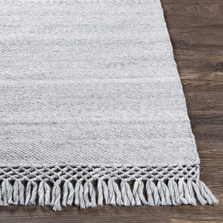 Walcha Gray Modern Style Hand Woven Area Rug - The Rug Decor