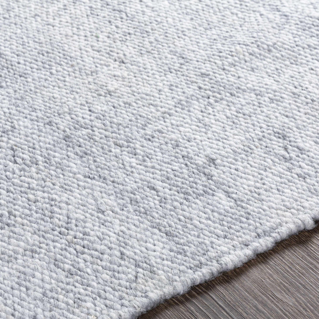Walcha Gray Modern Style Hand Woven Area Rug - The Rug Decor