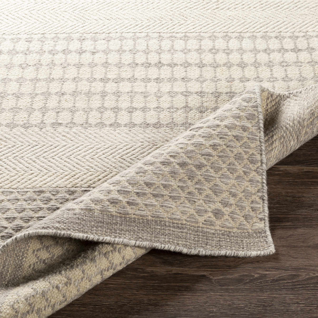 Warabrook Beige Modern Geometrical Design Hand Woven Area Rug