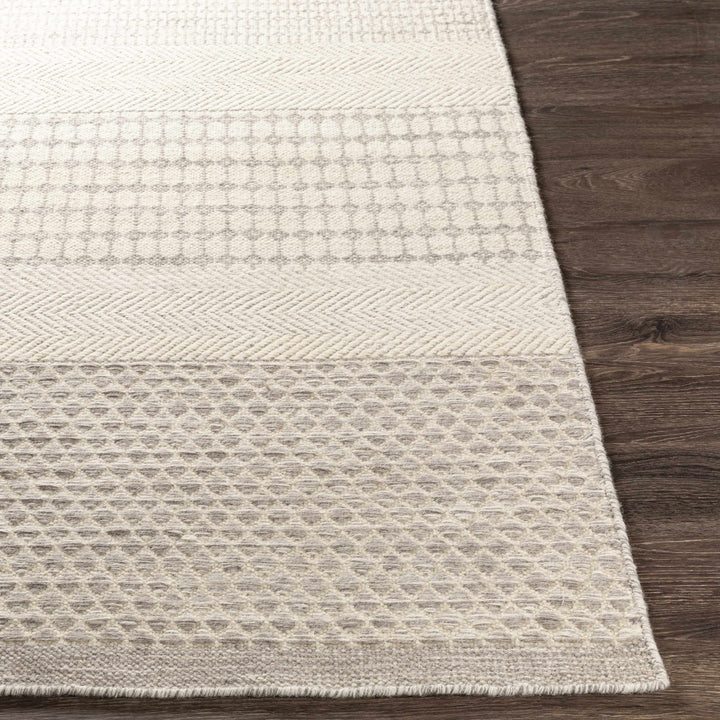 Warabrook Beige Modern Geometrical Design Hand Woven Area Rug