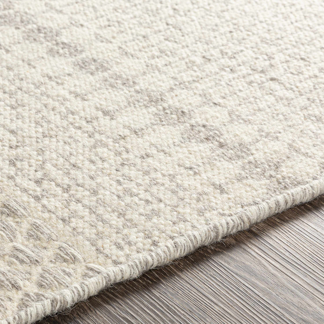 Warabrook Beige Modern Geometrical Design Hand Woven Area Rug