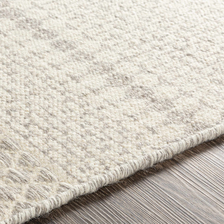 Warabrook Beige Modern Geometrical Design Hand Woven Area Rug