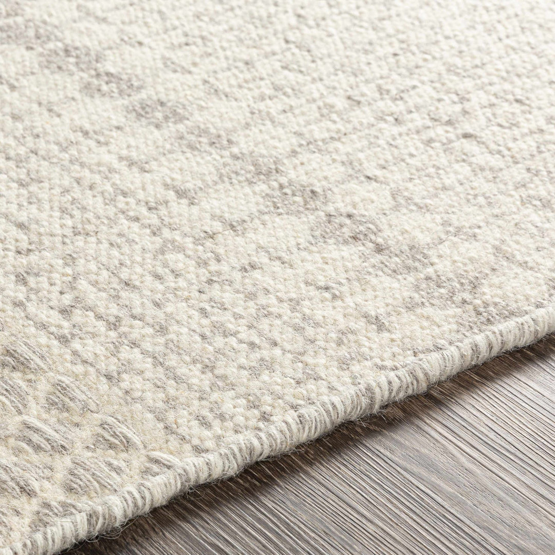 Warabrook Beige Modern Geometrical Design Hand Woven Area Rug - The Rug Decor
