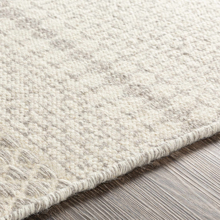 Warabrook Beige Modern Geometrical Design Hand Woven Area Rug - The Rug Decor