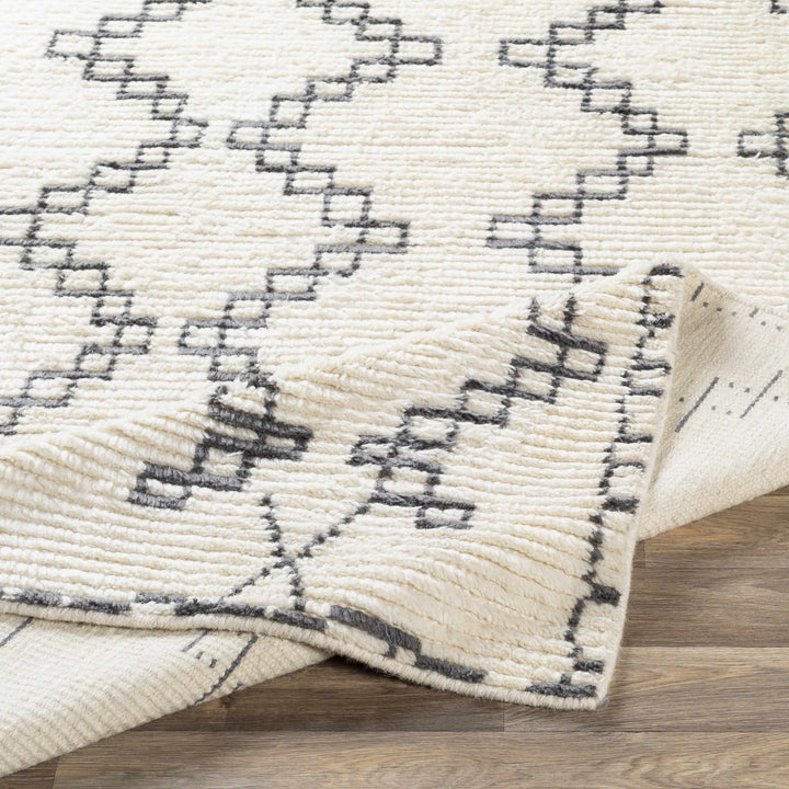 Wardell Modern Style Charcoal And Ivory Hand Woven Area Rug - The Rug Decor