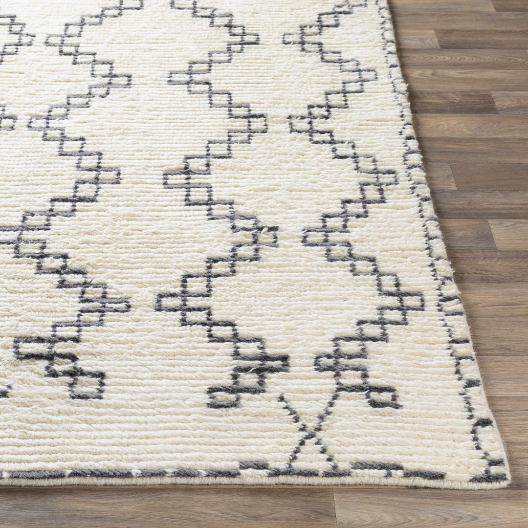 Wardell Modern Style Charcoal And Ivory Hand Woven Area Rug - The Rug Decor