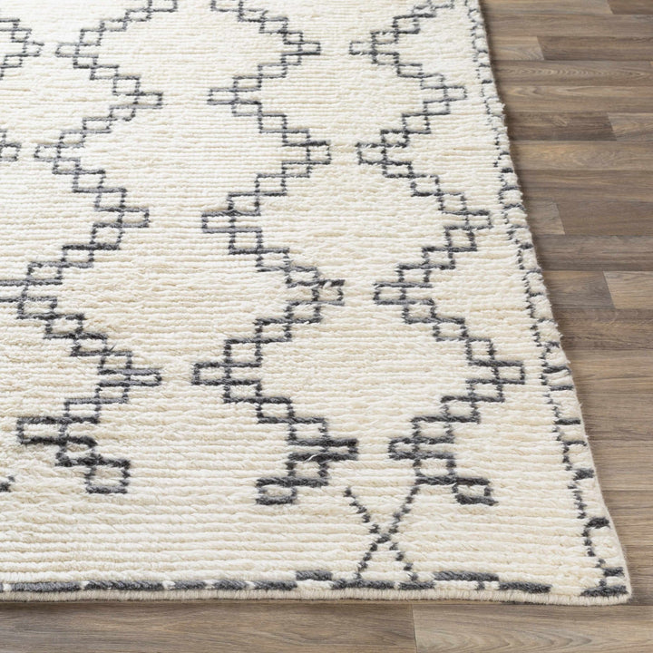 Wardell Modern Style Charcoal And Ivory Hand Woven Area Rug - The Rug Decor