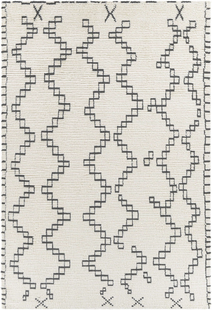 Wardell Modern Style Charcoal And Ivory Hand Woven Area Rug - The Rug Decor