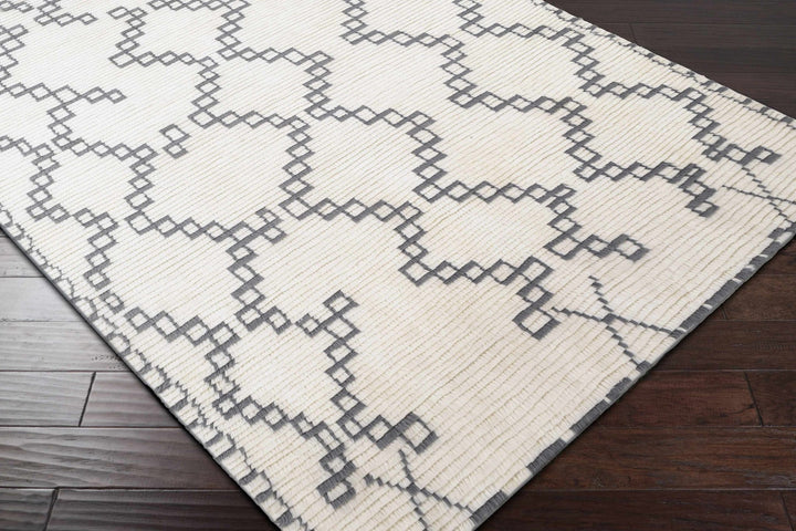 Wardell Modern Style Charcoal And Ivory Hand Woven Area Rug - The Rug Decor