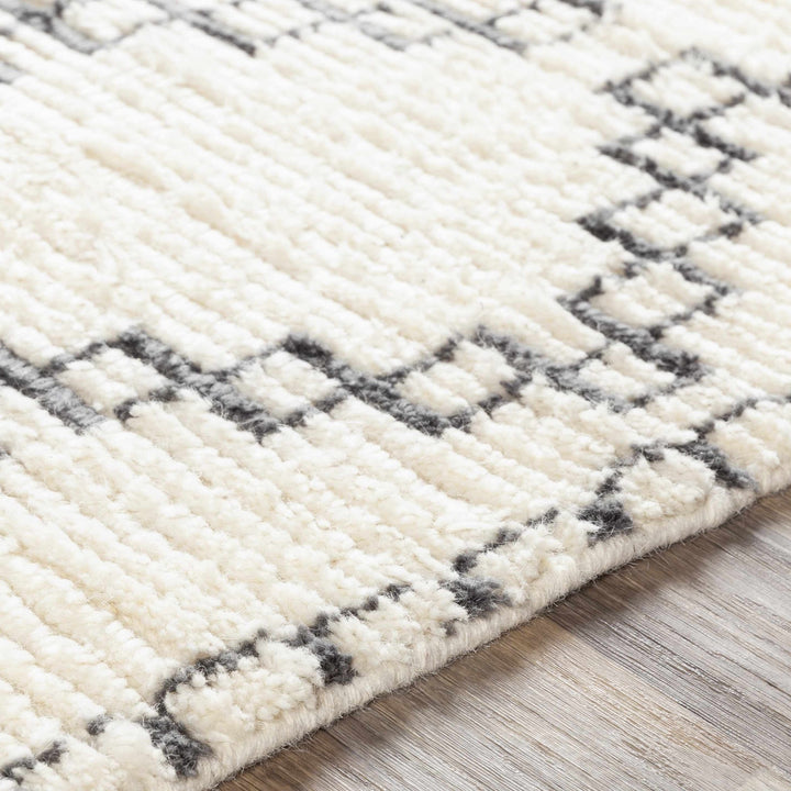 Wardell Modern Style Charcoal And Ivory Hand Woven Area Rug - The Rug Decor