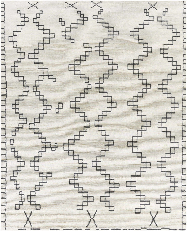 Wardell Modern Style Charcoal And Ivory Hand Woven Area Rug - The Rug Decor