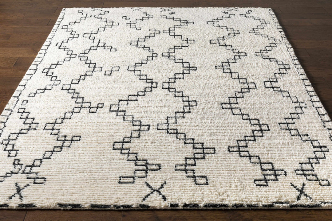 Wardell Modern Style Charcoal And Ivory Hand Woven Area Rug - The Rug Decor