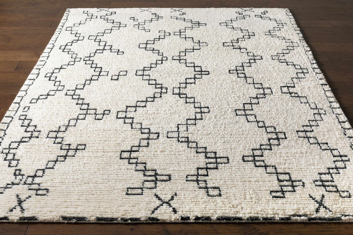Wardell Modern Style Charcoal And Ivory Hand Woven Area Rug - The Rug Decor