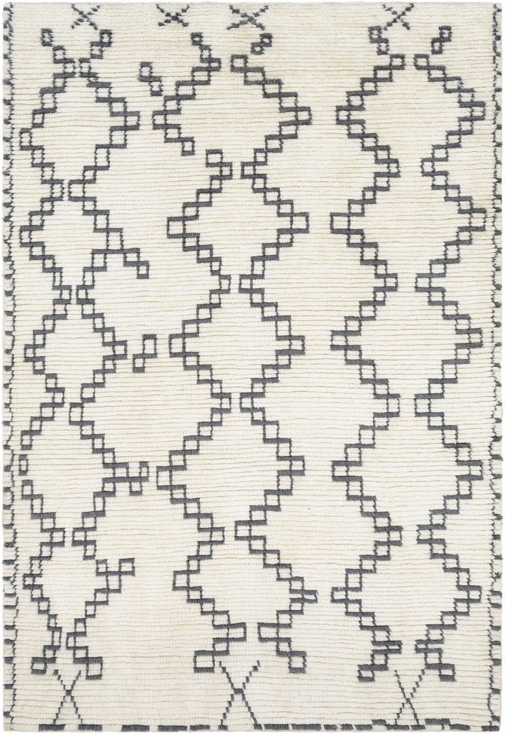 Wardell Modern Style Charcoal And Ivory Hand Woven Area Rug - The Rug Decor