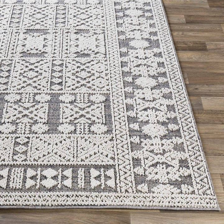 Ware Bohemian Style Gray And Ivory Outdoor Rug - The Rug Decor