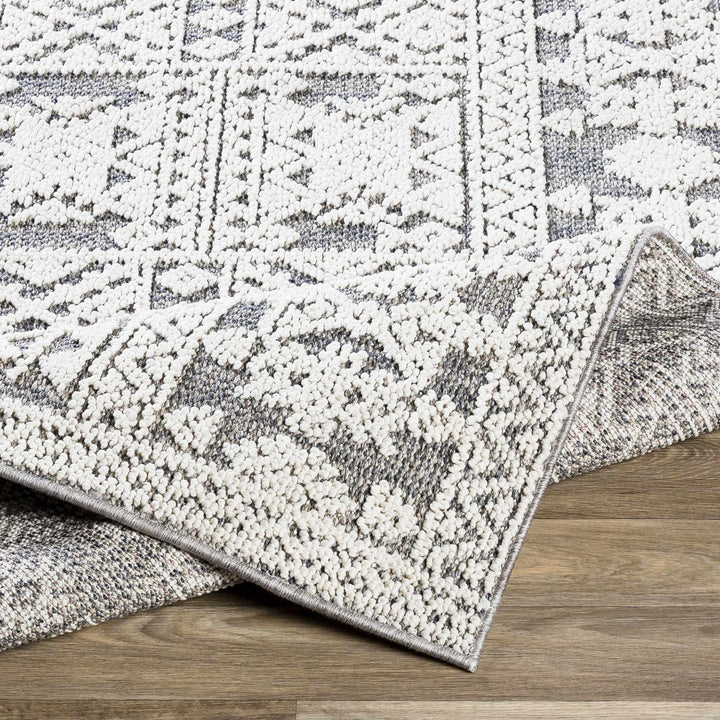 Ware Bohemian Style Gray And Ivory Outdoor Rug - The Rug Decor