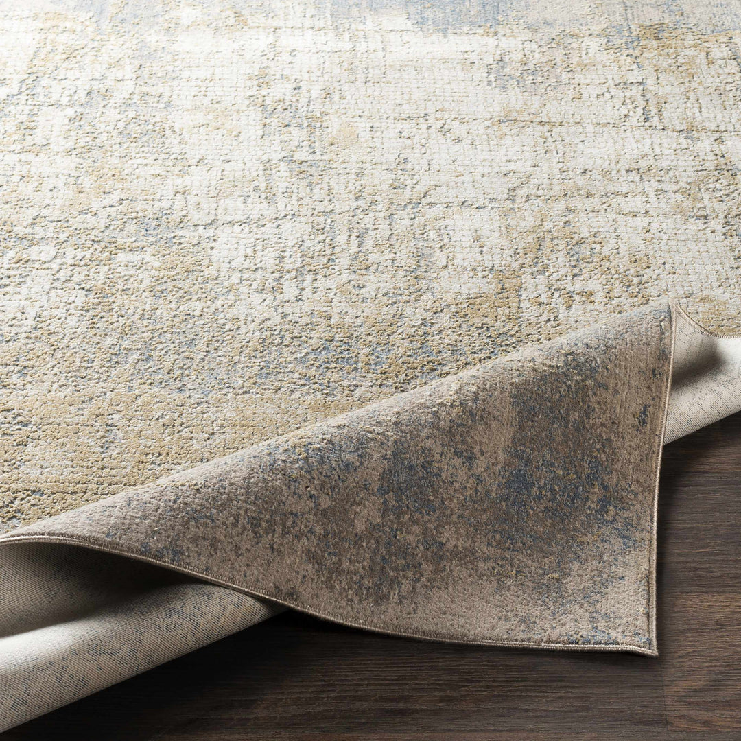 Watersmeet Modern Abstract Design Beige And Blue Area Rug