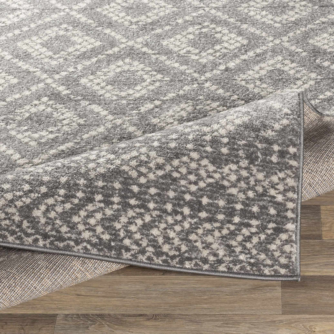 Webb Modern Geometrical Design Gray Area Rug