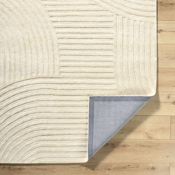 Whan Contemporary Style Beige Hand Tufted Wool Area Rug - The Rug Decor
