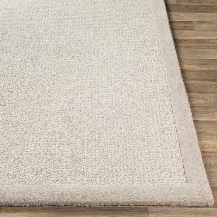 Winooski Contemporary Solid Ivory And Cream Rug - The Rug Decor