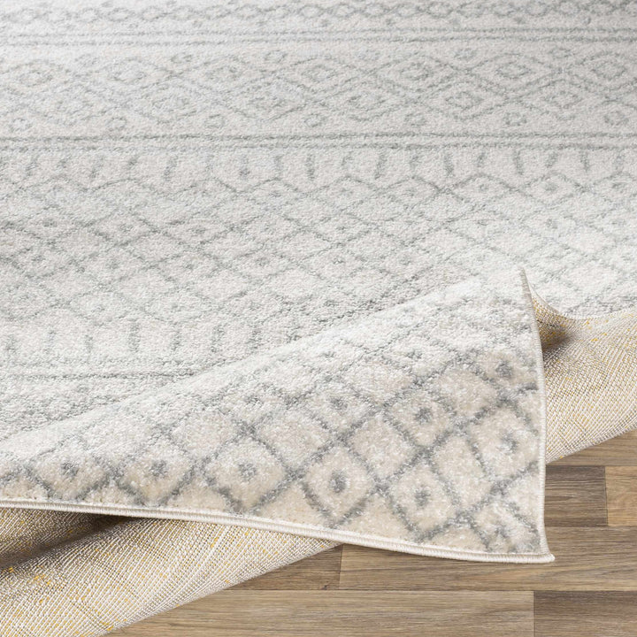 Winston Bohemian Style Ivory Area Rug