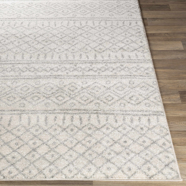 Winston Bohemian Style Ivory Area Rug