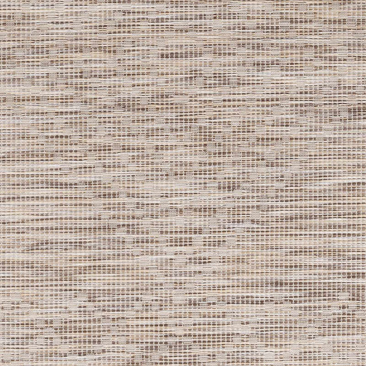 Woolloongabba Modern Style Beige Outdoor Area Rug