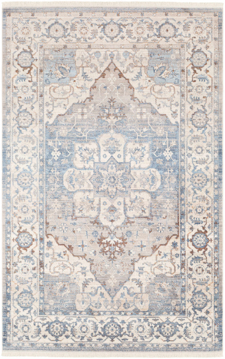 Woodbury Traditional Medallion Blue And Gray Area Rug