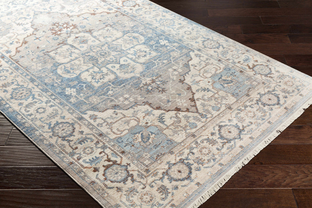 Woodbury Traditional Medallion Blue And Gray Area Rug