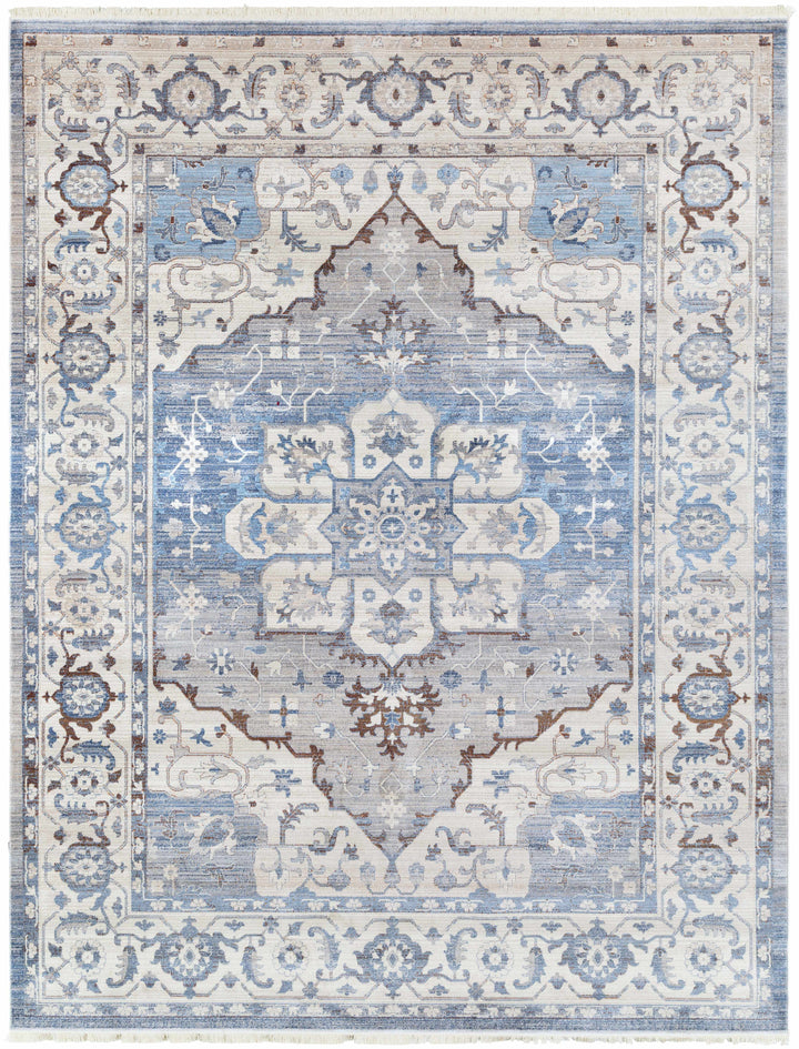 Woodbury Traditional Medallion Blue And Gray Area Rug