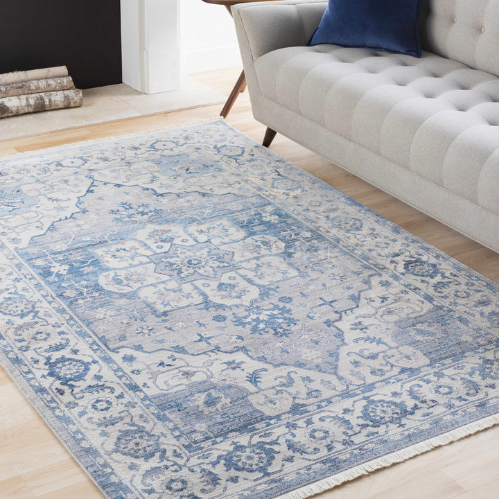 Woodbury Traditional Medallion Blue And Gray Area Rug
