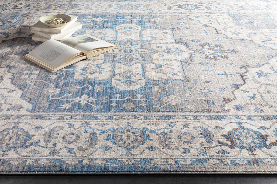 Woodbury Traditional Medallion Blue And Gray Area Rug
